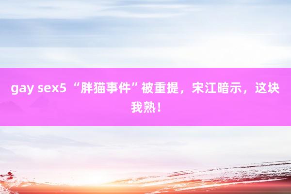 gay sex5 “胖猫事件”被重提，宋江暗示，这块我熟！